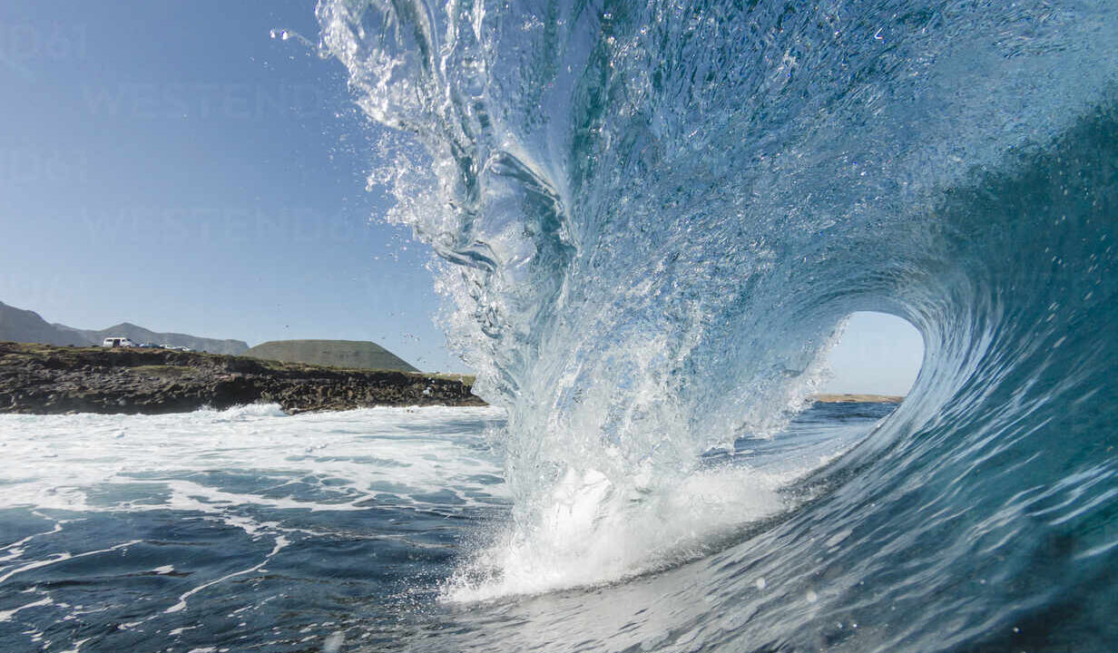 WAVE