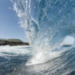 WAVE