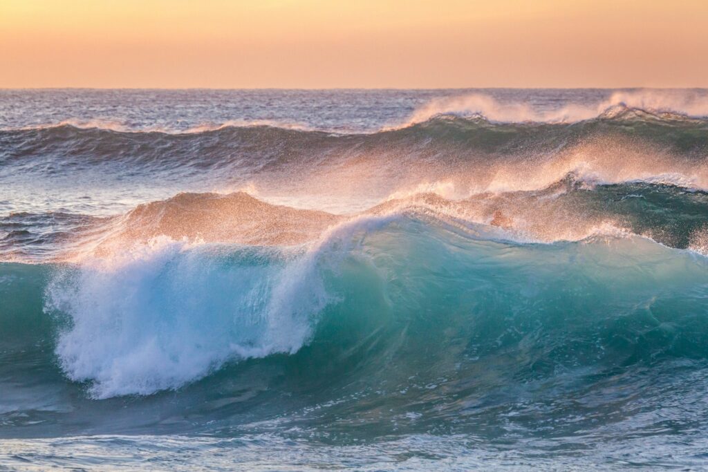 WAVES