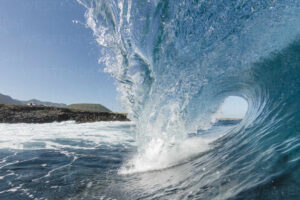 WAVE