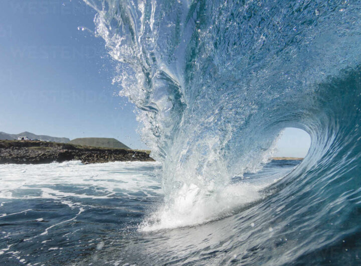 WAVE