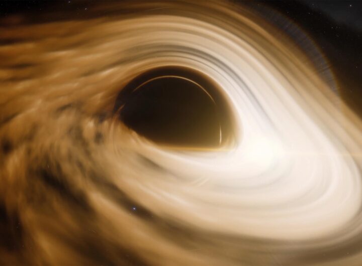 Black Holes