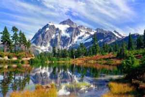 Must-Visit National Parks in the USA