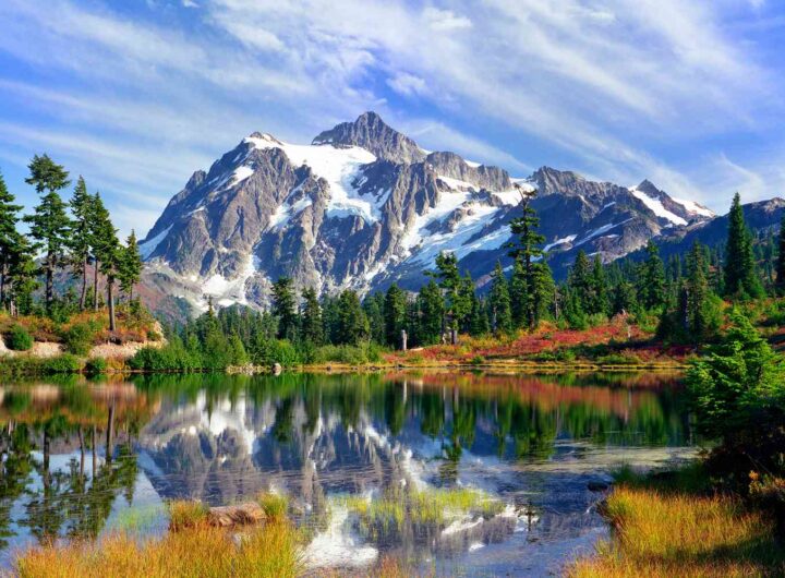 Must-Visit National Parks in the USA