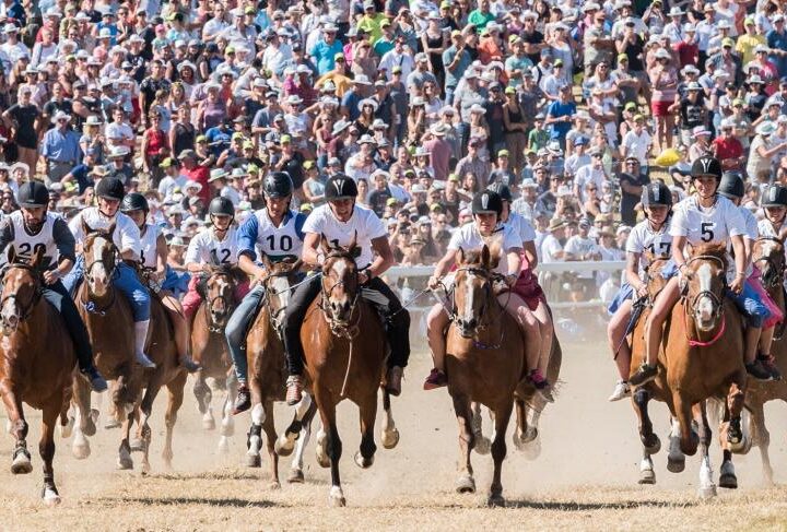 Hooves and Heritage The Thrilling Marché-Concours Horse Festival in Saignelegier