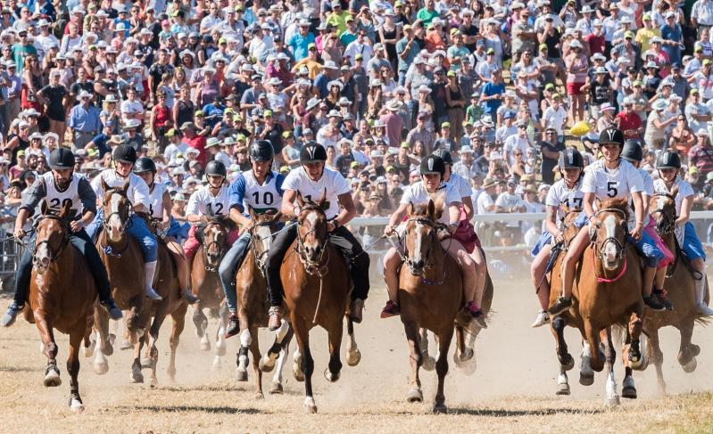 Hooves and Heritage The Thrilling Marché-Concours Horse Festival in Saignelegier
