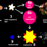 The Life Cycle of a Star From Birth to Death