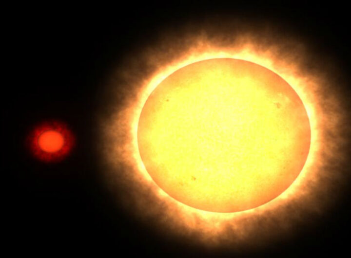 The Sun Our Brilliant Yellow Dwarf Star Powering the Solar System