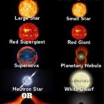 Types of Stars Based on Size