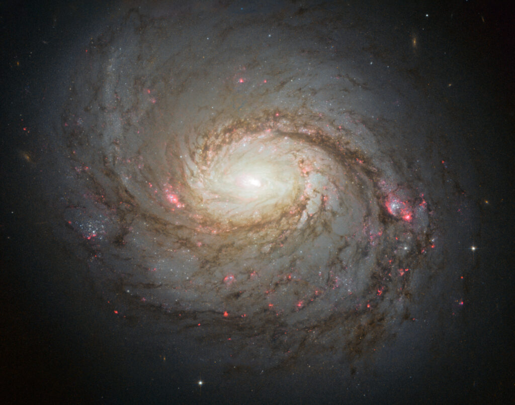 Exploring the Diverse Types of Galaxies in the Universe A Cosmic Guide
