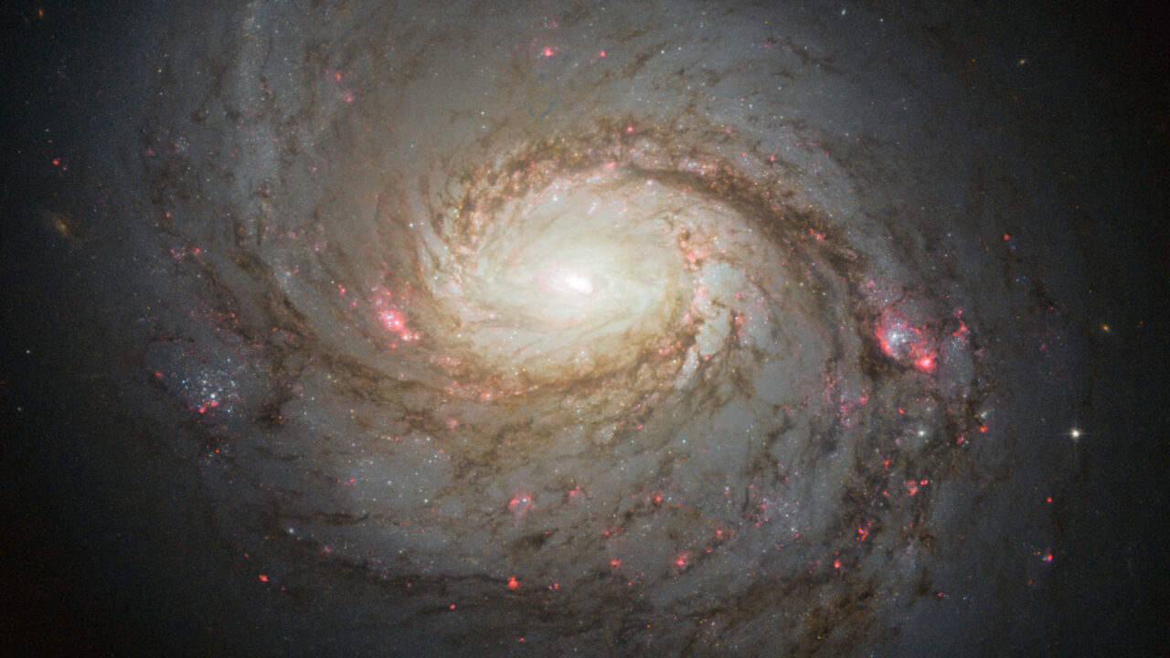 Exploring the Diverse Types of Galaxies in the Universe A Cosmic Guide
