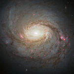 Exploring the Diverse Types of Galaxies in the Universe A Cosmic Guide