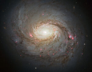 Exploring the Diverse Types of Galaxies in the Universe A Cosmic Guide