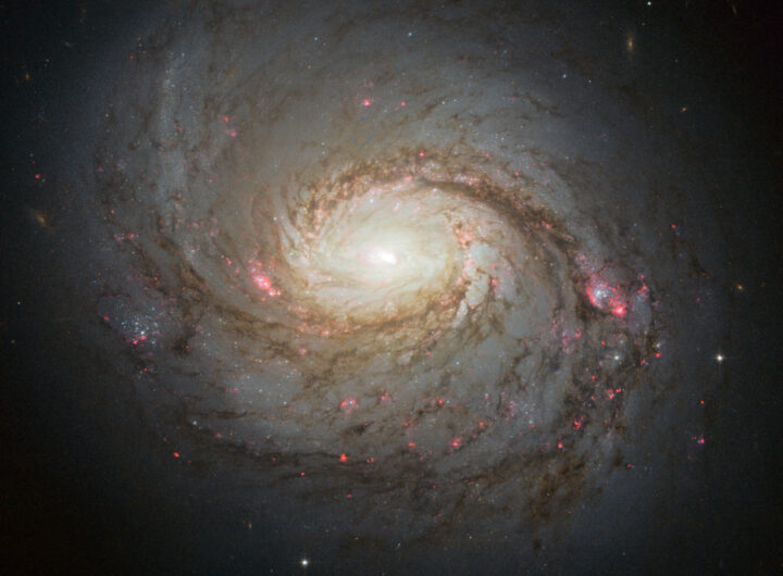Exploring the Diverse Types of Galaxies in the Universe A Cosmic Guide