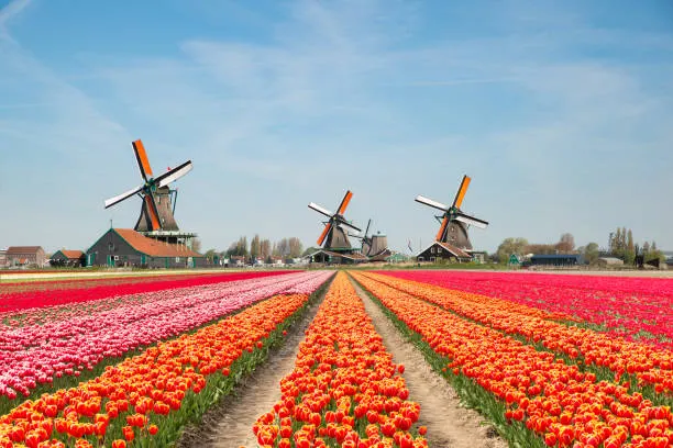 Netherlands