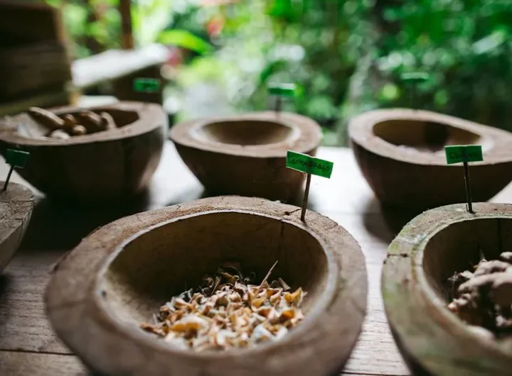 The Cultural Legacy of Ayurveda in India