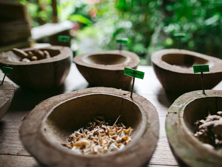 The Cultural Legacy of Ayurveda in India