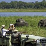 The History of Malawi From Ancient Kingdoms to Africa's Warm Heart