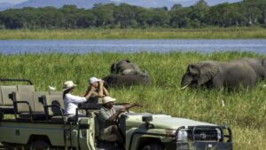 The History of Malawi From Ancient Kingdoms to Africa's Warm Heart