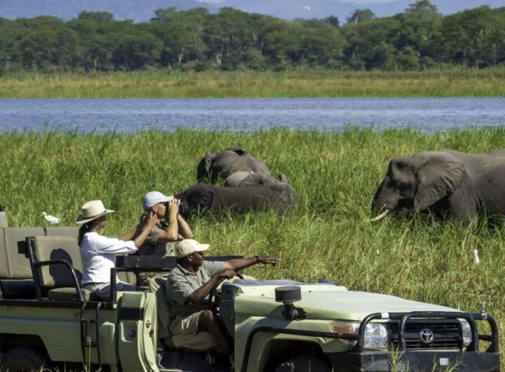 The History of Malawi From Ancient Kingdoms to Africa's Warm Heart