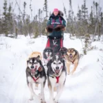 Inside the World of Sled Dog Racing and Human Bonds